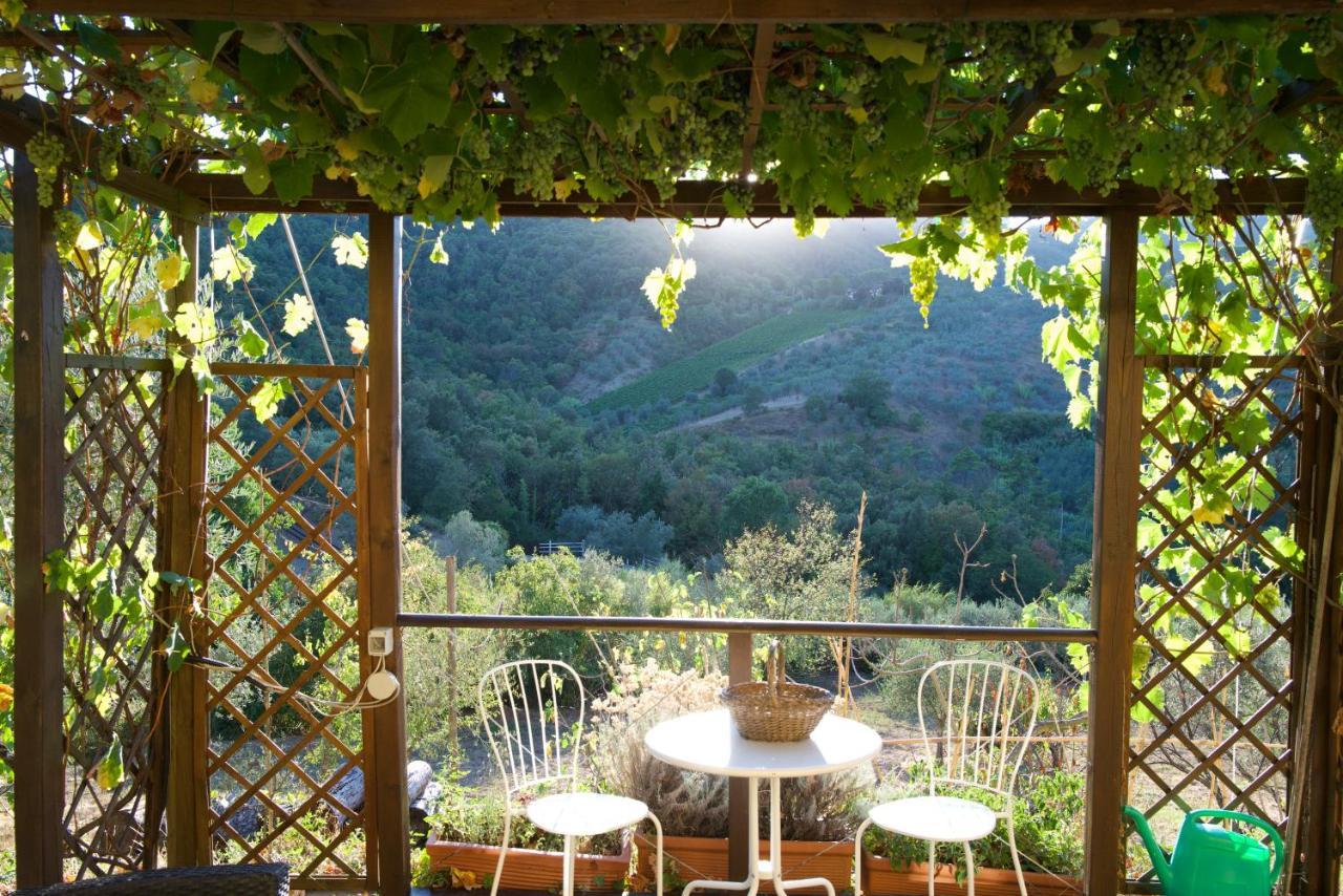 Barco Mediceo B&B In Toscana Carmignano Luaran gambar